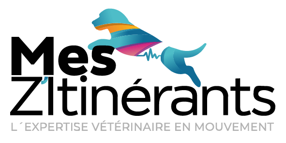 Mes Z'itinerants Logo